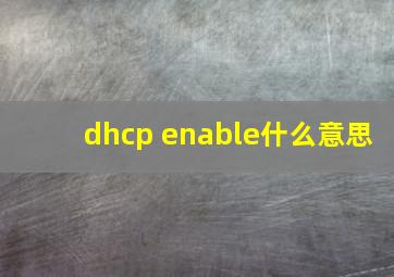 dhcp enable什么意思